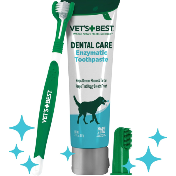 Toothbrush & Enzymatic Toothpaste Kit